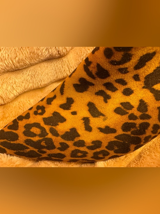 🔥 ShoeDazzle Animal Print Ankle Booties Mixed Print Pointed Toe Statement Heels - Picture 7 of 10